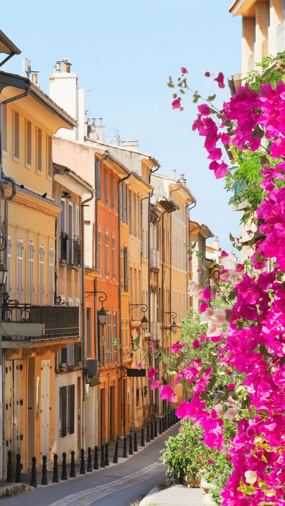 Come With Me to Provence