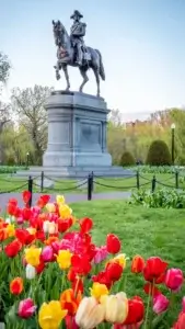 Magnolias restaurant hidden gem in Boston