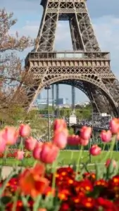 I Didn’t Feel Invisible in Paris