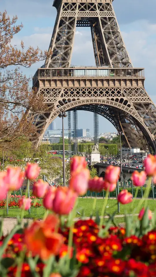 (Web vertical) vision board I Didn’t Feel Invisible in Paris